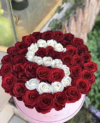 Sevginizin Harfi